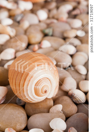 Sea pebbles background, natural seashore stones 31719097