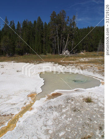 Upper · Geyser · Basin Upper · Geyser · Basin 31719126