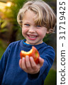 cute 5 year old child eating an apple 31719425