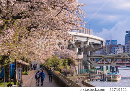 東京的日本春城風光[隅川和櫻花] 31719521
