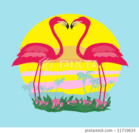 sunset and pink flamingos sunset and pink flamingos 31719635