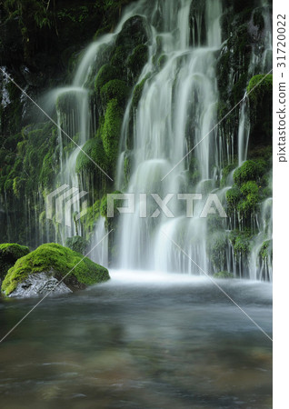 Motoyuki水下水 Motoyuki水下水 31720022