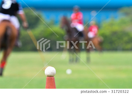 Polo horse ball 31720322