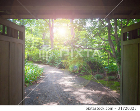 The door to the forest 31720323