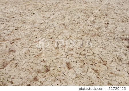 cracked earth 31720423