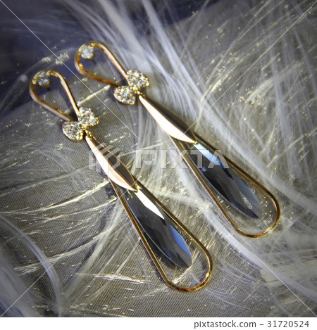 Elegance Earings 31720524