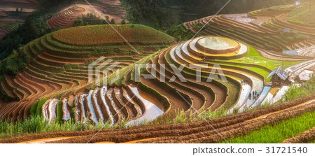 Terraced ricefield in water season at Vietnam Terraced ricefield in water season at Vietnam 31721540
