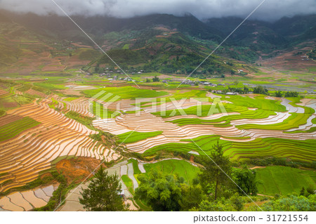 Terraced ricefield in water season in Vietnam 31721554