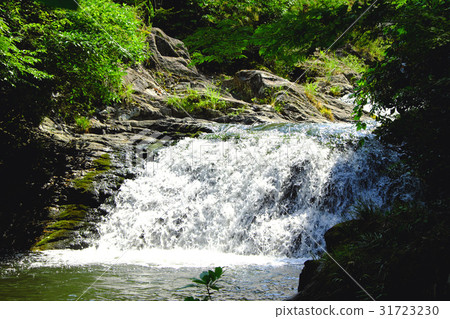 Falls in return Falls in return 31723230