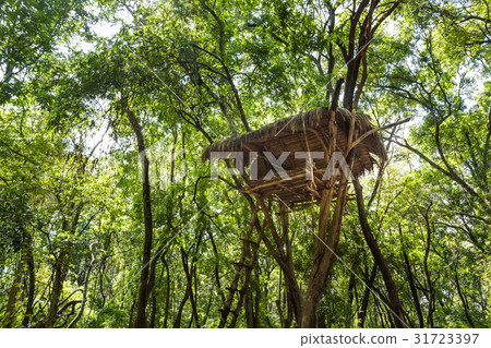 House of vedda people 31723397