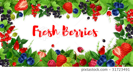 Berries and sweet garden fruits vector banners 31723491