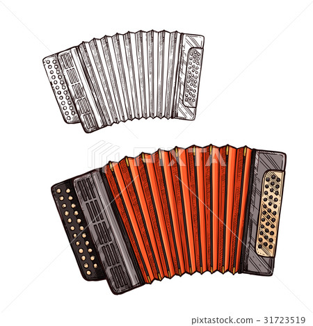 Vector sketch accordion musical instrument 31723519