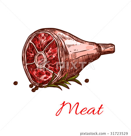 Vector raw fresh hind quarter meat isolated icon 31723529