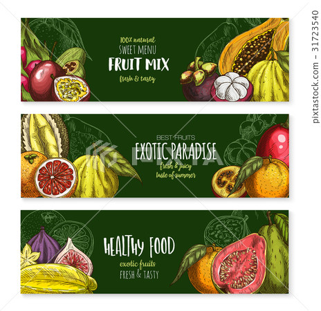 Vector banners of exotic fruits mix for menu 31723540