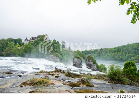 Rheinfall landscape and Schloss Laufen on hill. 31724514