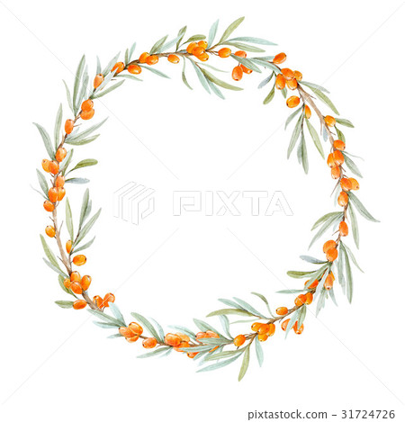 Watercolor sea buckthorn wreath Watercolor sea buckthorn wreath 31724726