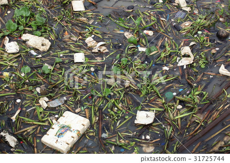 Rubbish in the river 31725744