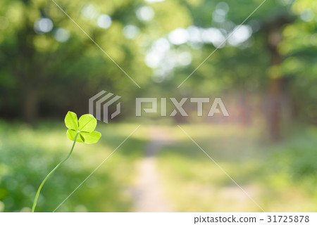 Road to happiness Leaf direction way 31725878