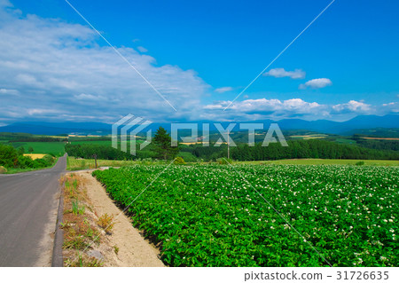 Scenery around the actual hill Scenery around the actual hill 31726635