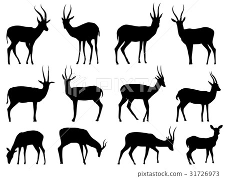 Set vector silhouettes of antelopes. Set vector silhouettes of antelopes. 31726973