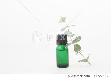 桉樹油和葉子 31727357