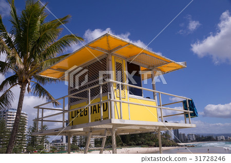 Lifeguard Tower on Beach 31728246