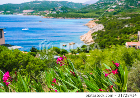 Costline at Porto Rafael, Palau, Sardinia, Italy 31728414