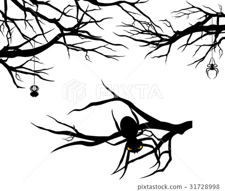 tree branches and spiders vector set 31728998