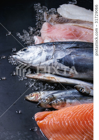 Vatiery of raw fresh fish 31729066