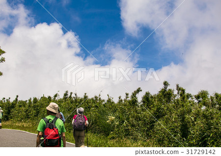 Daitun Mountain,Butterfly,Aiden,Baiyun,Tsuneyoshi,Derivative Daitun Mountain,Butterfly,Aiden,Baiyun,Tsuneyoshi,Derivative 31729142