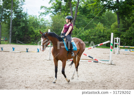 Horse rider is training in the arena 31729202