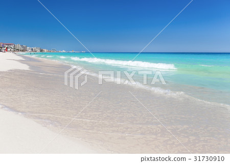 Caribbean sandy coastline Caribbean sandy coastline 31730910