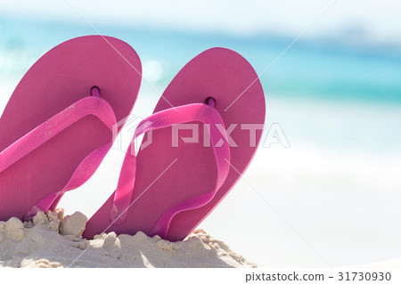 Color slippers on beach 31730930