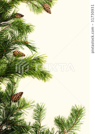 Spruce tree branches frame, evergreen garland 31730931