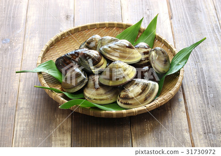 Clams from Kuwana Clams from Kuwana 31730972