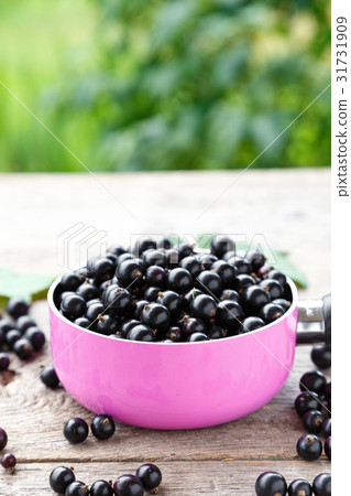 black currant berries black currant berries 31731909