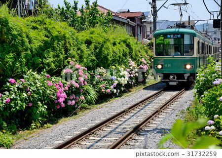 图库照片: 绣球花火车 查看全部