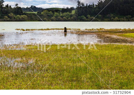 Surroundings of Lagoa das Furnas on Sao Miguel 31732904
