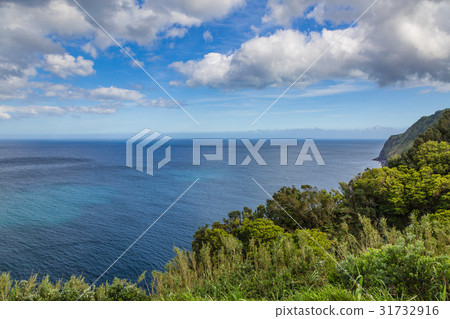 Coast and cliffs near Nordeste, Sao Miguel island 31732916