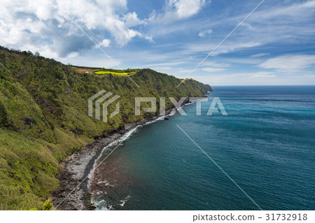 Coast and cliffs near Nordeste, Sao Miguel island 31732918