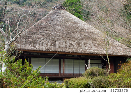 The thief roof of the left seat of the house 31733276