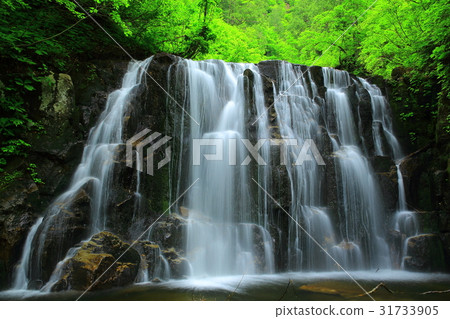 Summer Standing or Valley Ninakuri 31733905