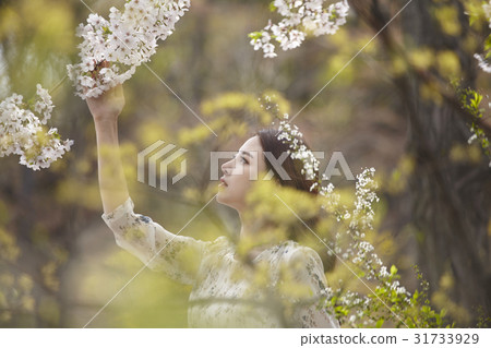 年輕的女人 31733929