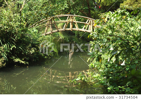 University pool 31734504