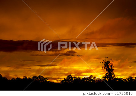 Dramatic Pink sky sunset Dramatic Pink sky sunset 31735013