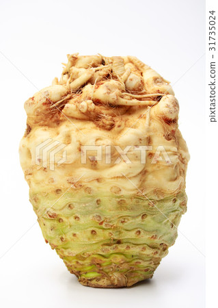 Celoriac Celoriac 31735024