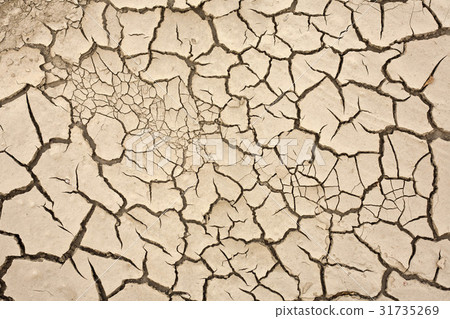 soil 31735269