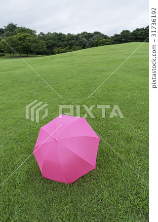 傘，奧林匹克公園，松坡區，首爾 31736192