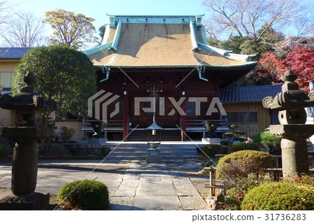 Tofukuji Tofukuji 31736283