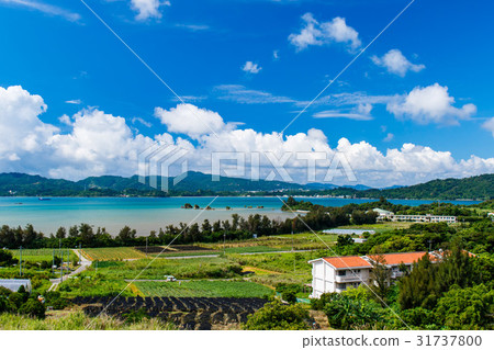 Scenery of Okinawa Prefecture Yakushima Island Okinawa Scenery of Okinawa Prefecture Yakushima Island Okinawa 31737800